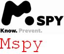 Kalisz Mspy Google